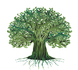 IIOM, A Naturopathic School